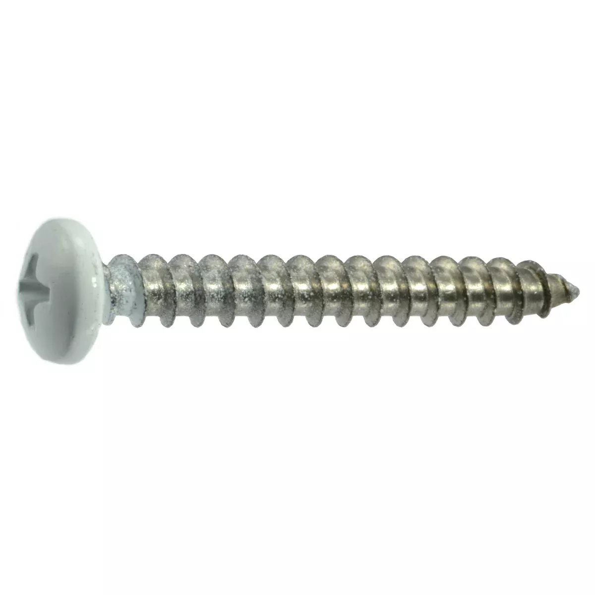 #10 x 1-1/2" White Painted 18-8 Stainless Steel Phillips Pan Head Sheet Metal Screws