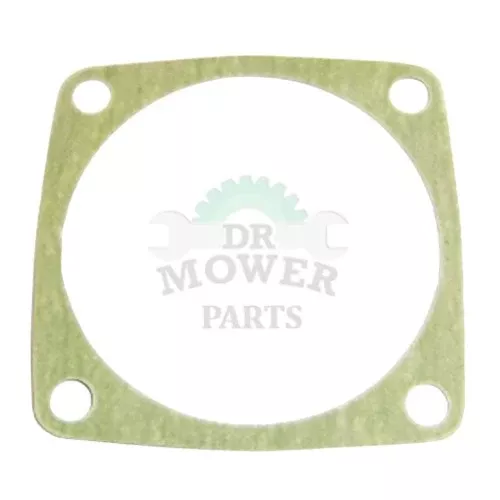 10101032431 Echo Cylinder Gasket