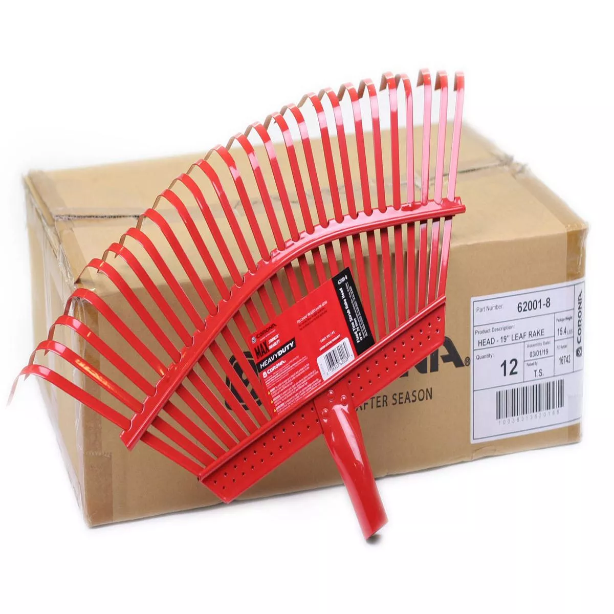 19 ” RAKE HEAD (case of 12)