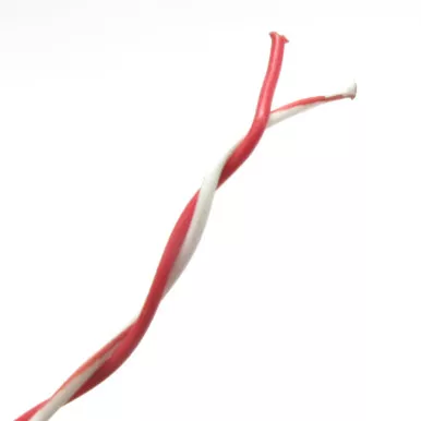 24AWG, 2-conductor Type E Twisted Pair, PTFE, red, 100ft