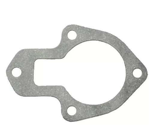 607824 Lawn Boy Gasket