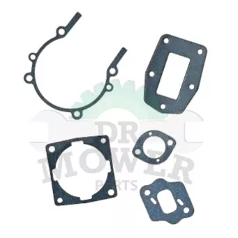 889000-08262 Echo Gasket Repair Kit