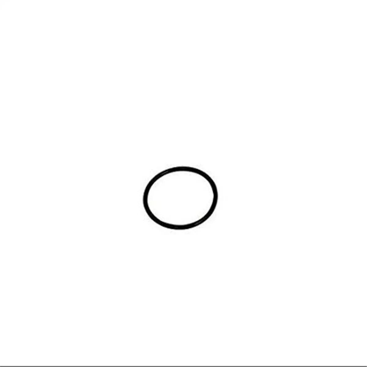 Lg. "O" Ring LIS34490 Lisle